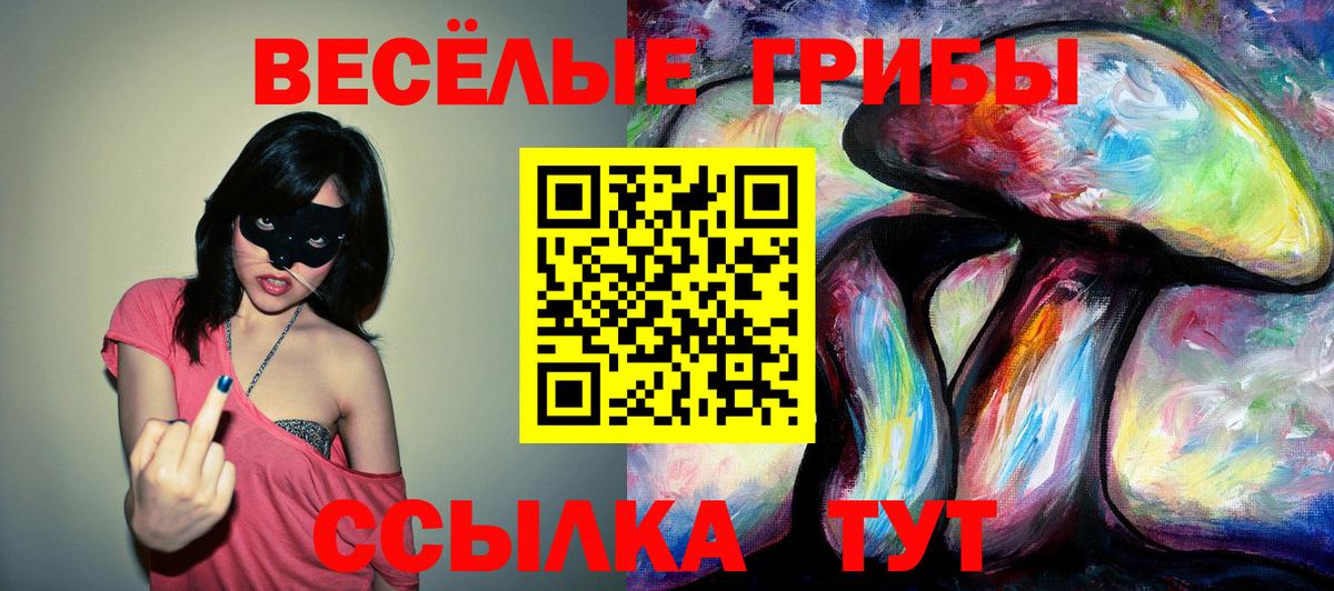 Галлюциногенные грибы Cubensis  Галлюциногенные грибы GOLDEN TEACHER  Коломна 